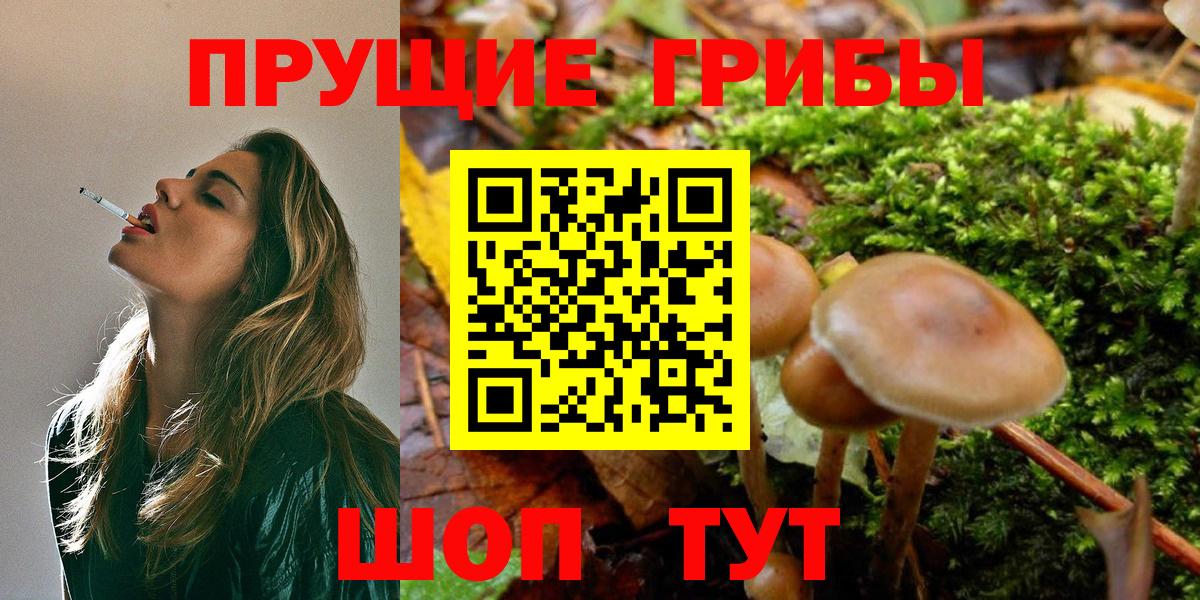 Псилоцибиновые грибы GOLDEN TEACHER Дагестанские Огни