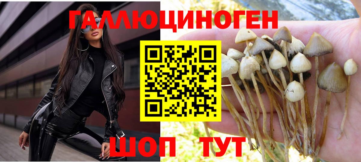 цена   Галлюциногенные грибы Psilocybine cubensis  Вход с VPN  Псилоцибиновые грибы Cubensis  Дагестанские Огни 